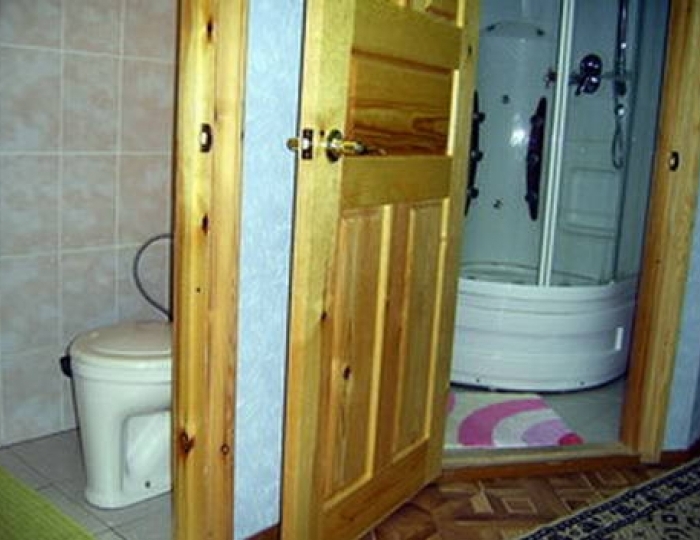 Стандарт 2 местный - Санаторий «Каменный пояс» Каменск-Уральский